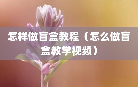 怎样做盲盒教程（怎么做盲盒教学视频）
