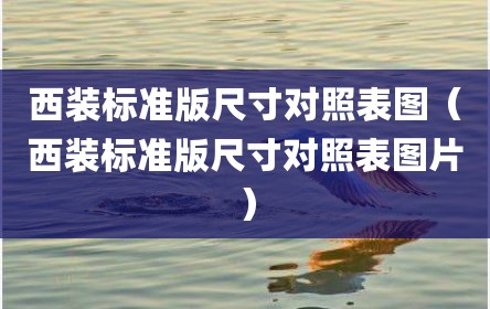 西装标准版尺寸对照表图（西装标准版尺寸对照表图片）