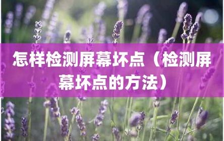 怎样检测屏幕坏点（检测屏幕坏点的方法）
