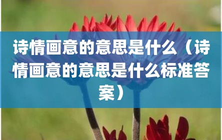 诗情画意的意思是什么（诗情画意的意思是什么标准答案）