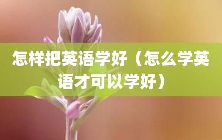 怎样把英语学好（怎么学英语才可以学好）