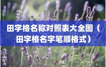 田字格名称对照表大全图（田字格名字笔顺格式）