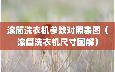 滚筒洗衣机参数对照表图（滚筒洗衣机尺寸图解）