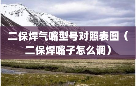 二保焊气嘴型号对照表图（二保焊嘴子怎么调）