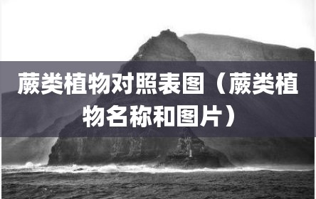 蕨类植物对照表图（蕨类植物名称和图片）