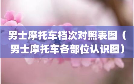 男士摩托车档次对照表图（男士摩托车各部位认识图）