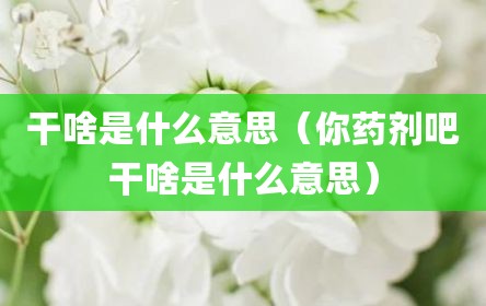 干啥是什么意思（你药剂吧干啥是什么意思）