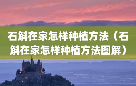 石斛在家怎样种植方法（石斛在家怎样种植方法图解）