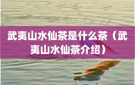 武夷山水仙茶是什么茶（武夷山水仙茶介绍）
