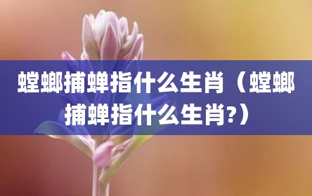 螳螂捕蝉指什么生肖（螳螂捕蝉指什么生肖?）
