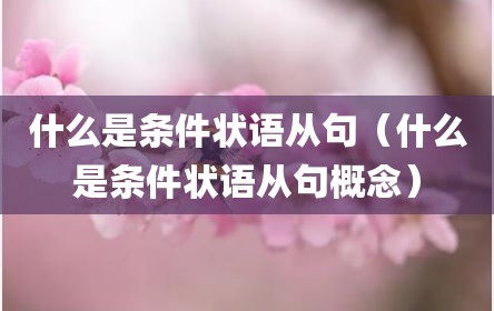 什么是条件状语从句（什么是条件状语从句概念）