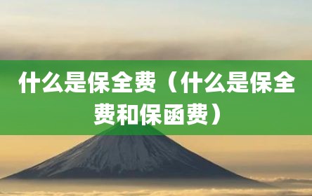 什么是保全费（什么是保全费和保函费）