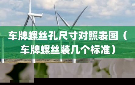 车牌螺丝孔尺寸对照表图（车牌螺丝装几个标准）