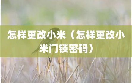 怎样更改小米（怎样更改小米门锁密码）