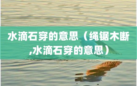 水滴石穿的意思（绳锯木断,水滴石穿的意思）
