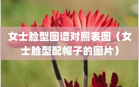 女士脸型图谱对照表图（女士脸型配帽子的图片）