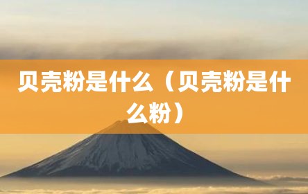 贝壳粉是什么（贝壳粉是什么粉）