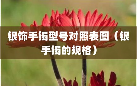 银饰手镯型号对照表图（银手镯的规格）
