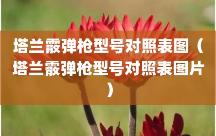 塔兰霰弹枪型号对照表图（塔兰霰弹枪型号对照表图片）