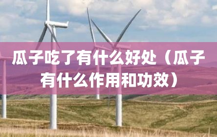 瓜子吃了有什么好处（瓜子有什么作用和功效）