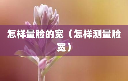 怎样量脸的宽（怎样测量脸宽）