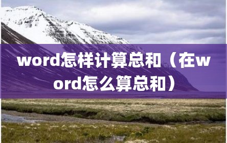 word怎样计算总和（在word怎么算总和）