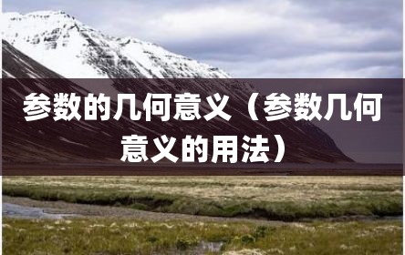 参数的几何意义（参数几何意义的用法）