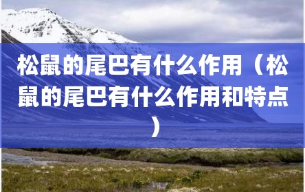 松鼠的尾巴有什么作用（松鼠的尾巴有什么作用和特点）