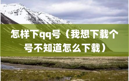 怎样下qq号（我想下载个号不知道怎么下载）