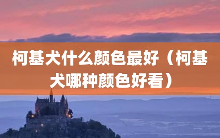 柯基犬什么颜色最好（柯基犬哪种颜色好看）