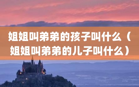 姐姐叫弟弟的孩子叫什么（姐姐叫弟弟的儿子叫什么）