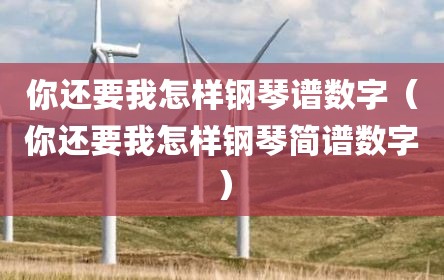 你还要我怎样钢琴谱数字（你还要我怎样钢琴简谱数字）
