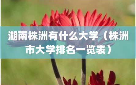 湖南株洲有什么大学（株洲市大学排名一览表）