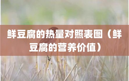 鲜豆腐的热量对照表图（鲜豆腐的营养价值）