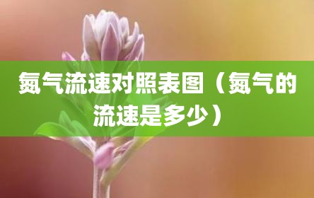 氮气流速对照表图（氮气的流速是多少）