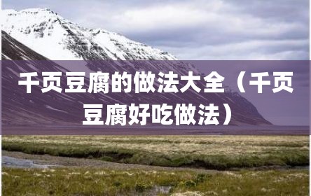 千页豆腐的做法大全（千页豆腐好吃做法）