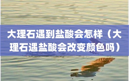 大理石遇到盐酸会怎样（大理石遇盐酸会改变颜色吗）