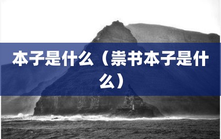 本子是什么（祟书本子是什么）