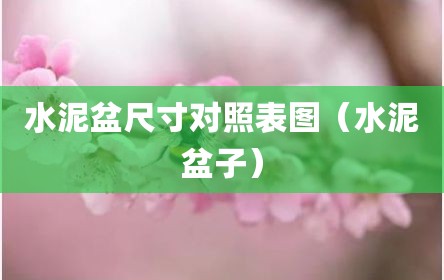 水泥盆尺寸对照表图（水泥盆子）