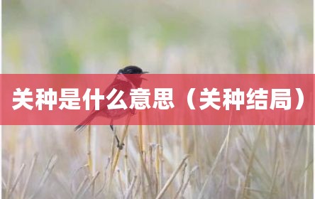 关种是什么意思（关种结局）