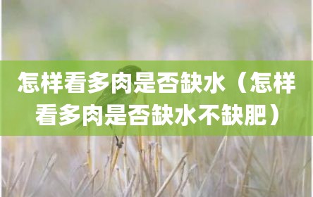 怎样看多肉是否缺水（怎样看多肉是否缺水不缺肥）