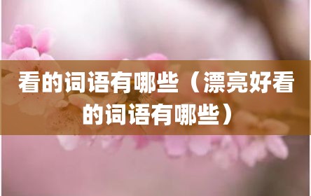 看的词语有哪些（漂亮好看的词语有哪些）