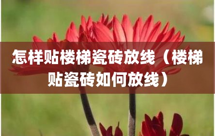 怎样贴楼梯瓷砖放线（楼梯贴瓷砖如何放线）