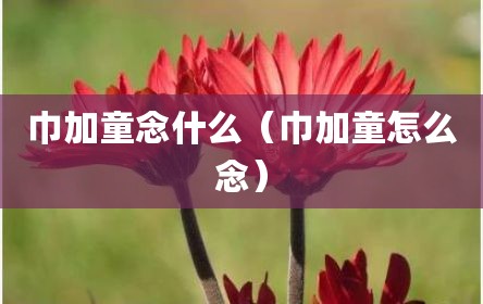 巾加童念什么（巾加童怎么念）