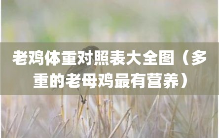 老鸡体重对照表大全图（多重的老母鸡最有营养）