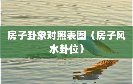 房子卦象对照表图（房子风水卦位）