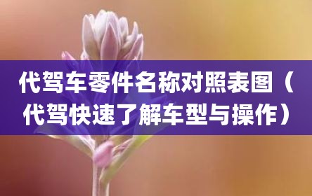 代驾车零件名称对照表图（代驾快速了解车型与操作）