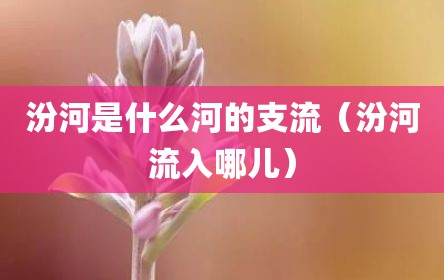 汾河是什么河的支流（汾河流入哪儿）
