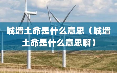 城墙土命是什么意思（城墙土命是什么意思啊）