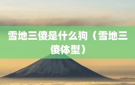 雪地三傻是什么狗（雪地三傻体型）